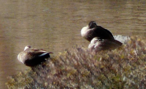 a0056140_1522837.jpg