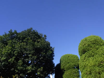 b0019140_15301337.jpg