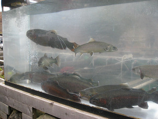 f0065341_14392078.jpg