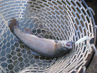 f0065341_14423638.jpg