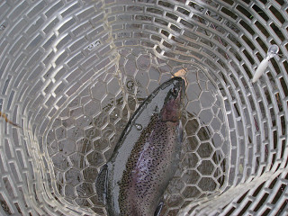 f0065341_14455510.jpg