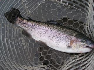 f0065341_14463545.jpg