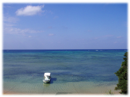 f0014842_1255880.jpg