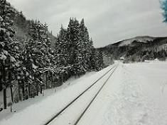 c0225143_22483659.jpg