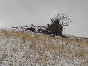 e0164643_12521939.jpg