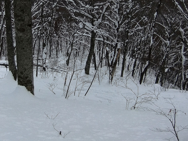 c0081645_2140546.jpg