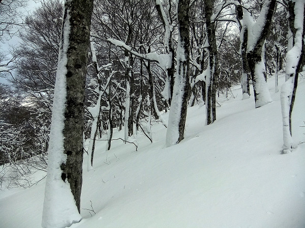 c0081645_21413385.jpg