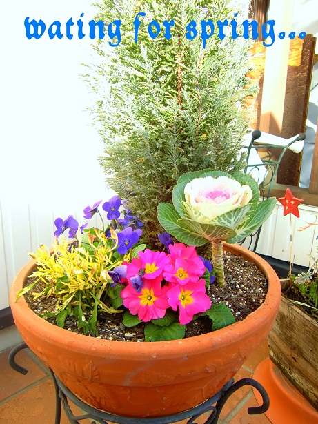 a0163248_21401569.jpg