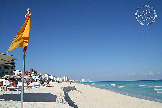 f0006855_12162930.jpg