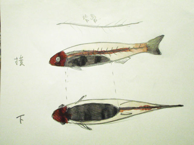 a0190865_1983048.jpg