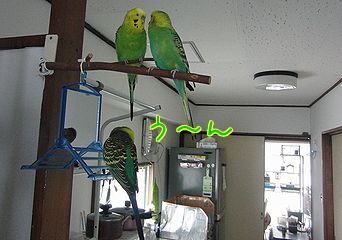 f0196665_23412196.jpg