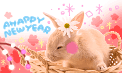 f0207969_256496.gif