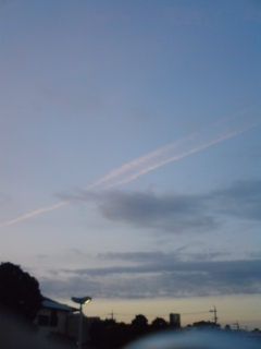 f0207969_2564997.jpg