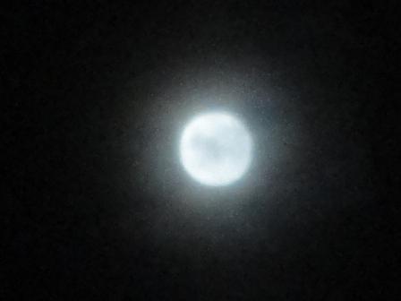 d0109373_415163.jpg