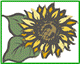 f0003174_13344062.gif
