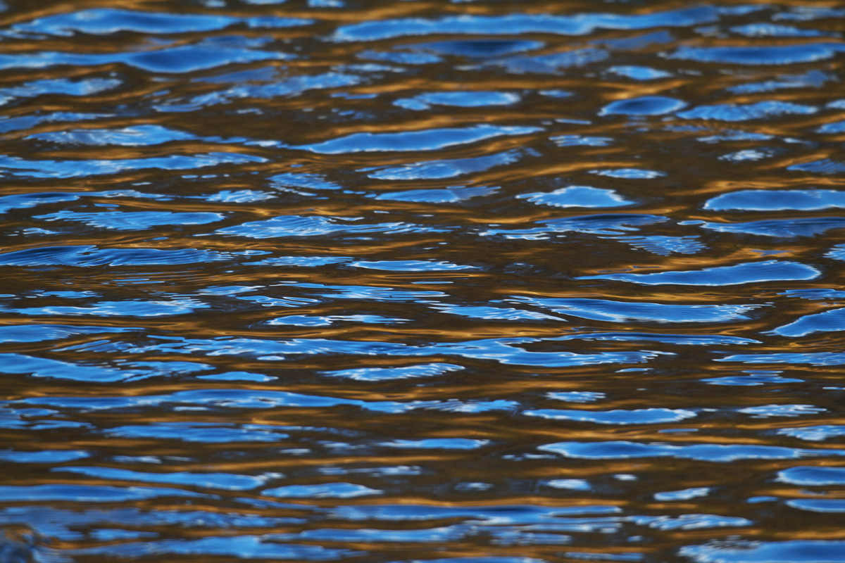 b0180476_17411632.jpg