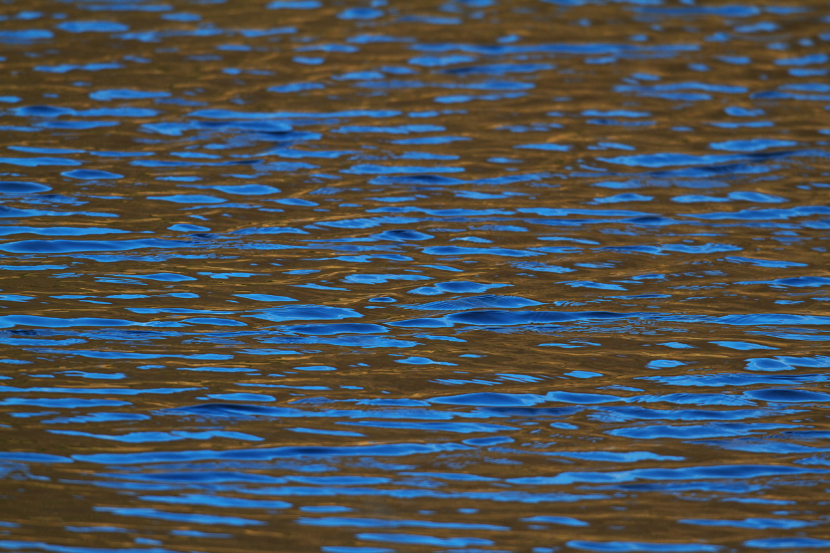 b0180476_17412580.jpg
