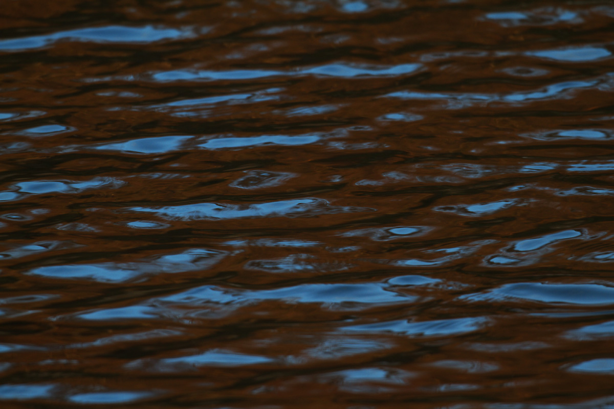 b0180476_17413371.jpg