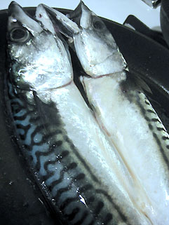 f0056476_11344328.jpg