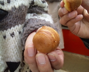 f0237680_11374298.jpg