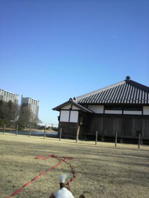 a0105289_2238544.jpg