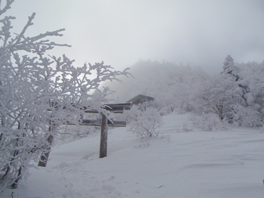 c0018489_23514723.jpg