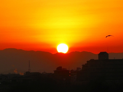 f0181394_101028100.jpg
