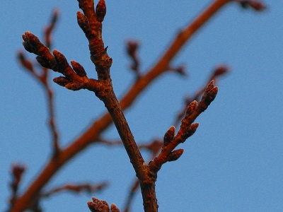 f0181394_10132740.jpg