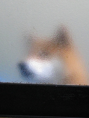 f0181394_1083813.jpg