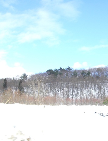 a0138198_13185790.jpg