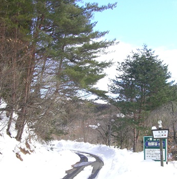 a0138198_13211595.jpg