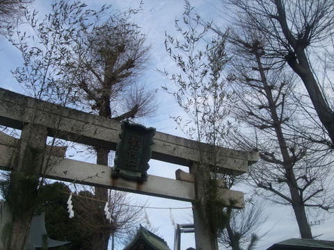 f0153998_1651067.jpg