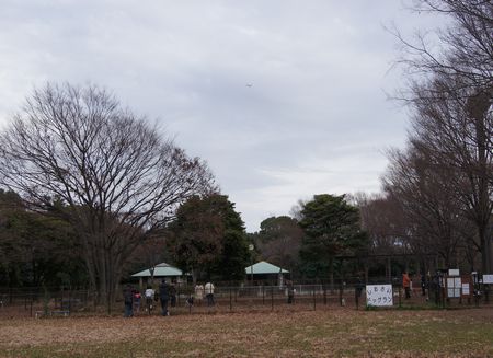 f0085501_1459473.jpg