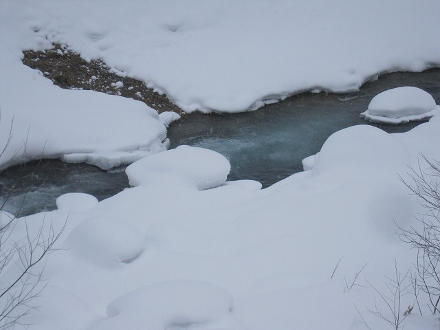 f0202703_2241539.jpg