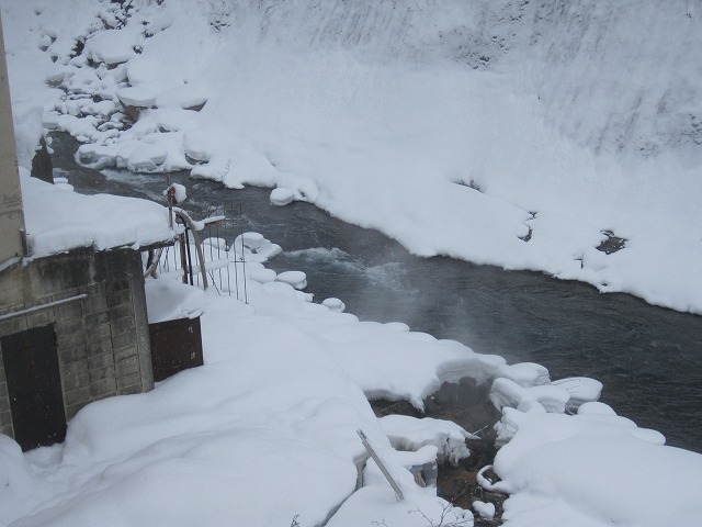 f0202703_225328.jpg