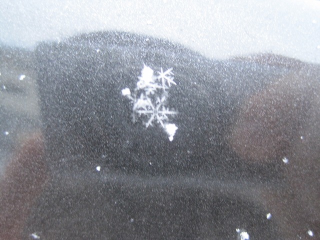 f0202703_2351843.jpg