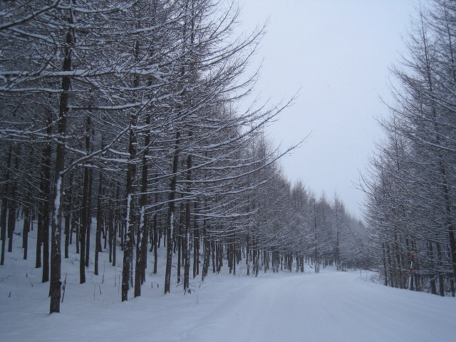 f0202703_237213.jpg
