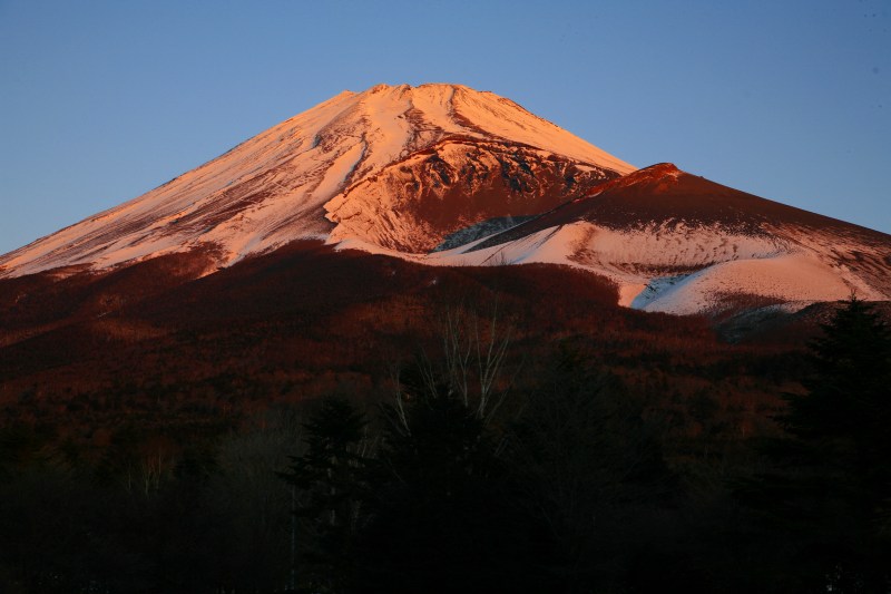 a0188405_12515444.jpg