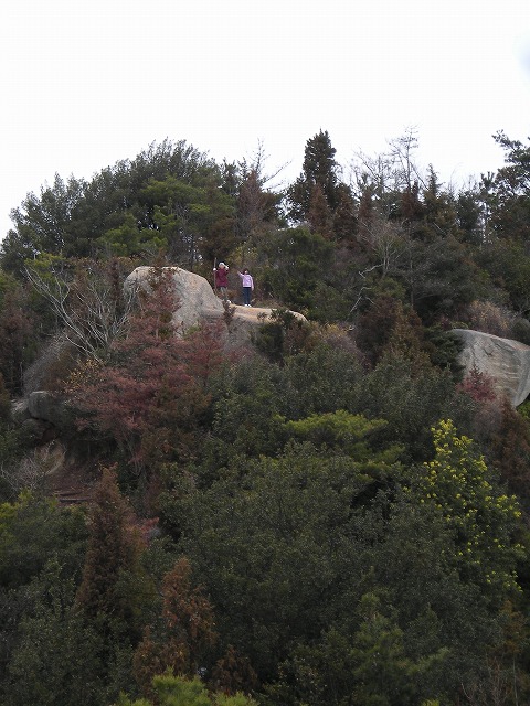 a0142107_18224719.jpg