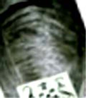e0103408_14161855.jpg