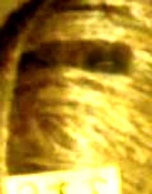 e0103408_142247.jpg