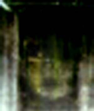 e0103408_20413550.jpg
