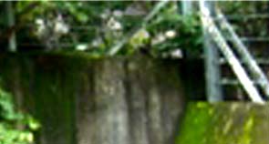 e0103408_20524087.jpg