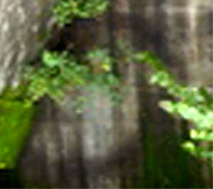 e0103408_20541140.jpg