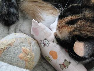 c0201113_22415243.jpg