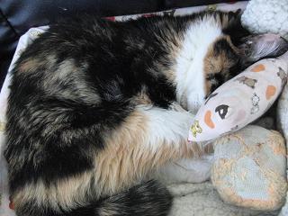 c0201113_2242484.jpg