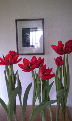 c0212214_14142421.jpg