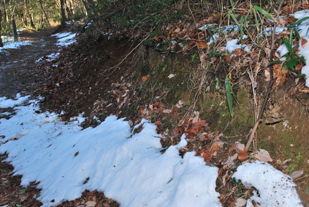 a0171521_031549.jpg