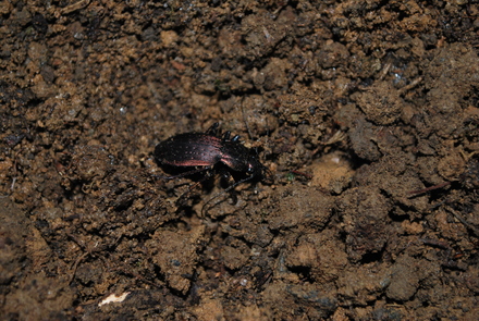 a0171521_0374990.jpg