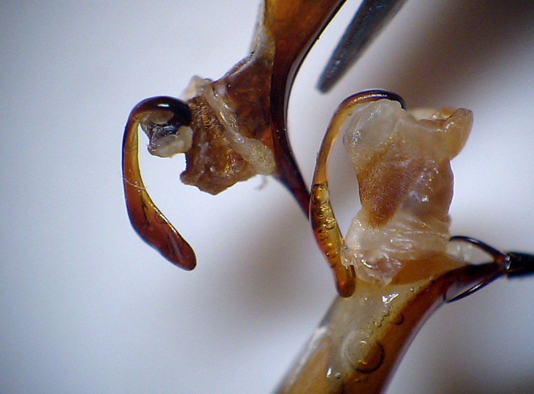 a0171521_050150.jpg